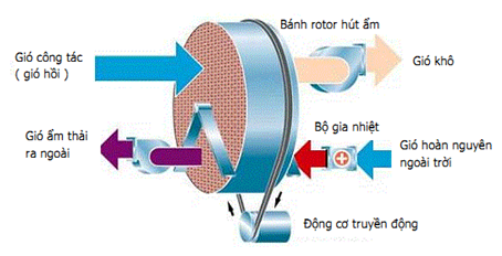 Nguyên lý hoạt động của máy hút ẩm dùng Roto