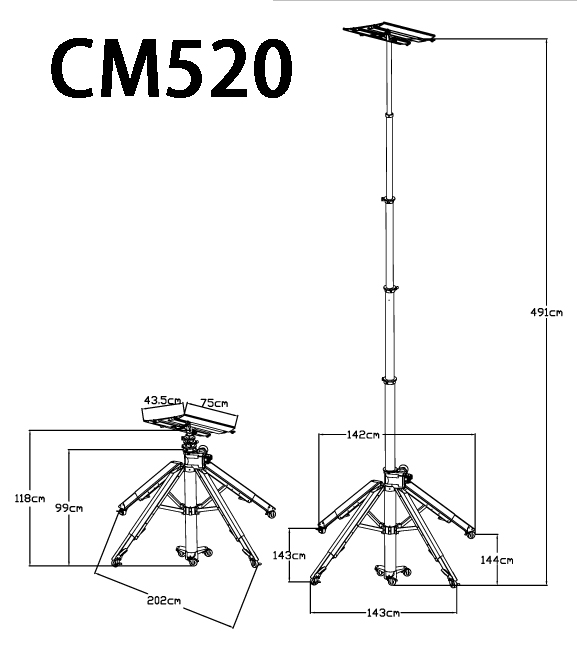 Thang nâng hàng di động CM520