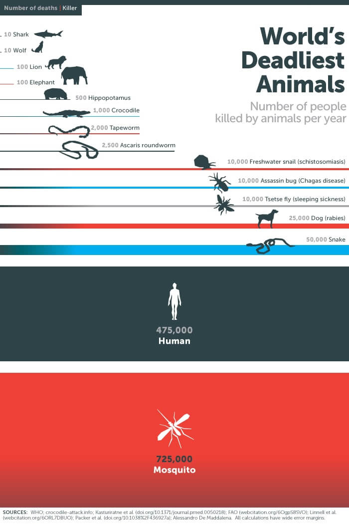 Muỗi là nguyên nhân khiến 725.000 người chết mỗi năm